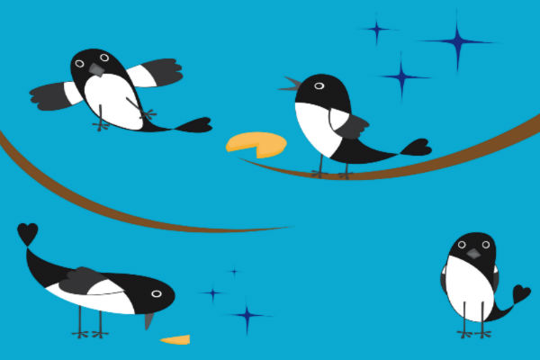 We’re Marketers Not Magpies: Why Marketers Shouldn’t Jump At The Latest Shiny Thing