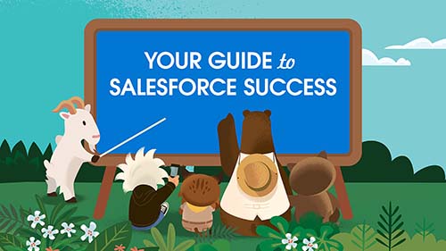 Video: How to Get the Most out of your Salesforce Customer 360 Implementation