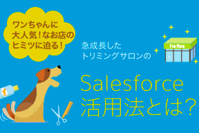 「インフォグラフィック」で見るSalesforce導入事例！