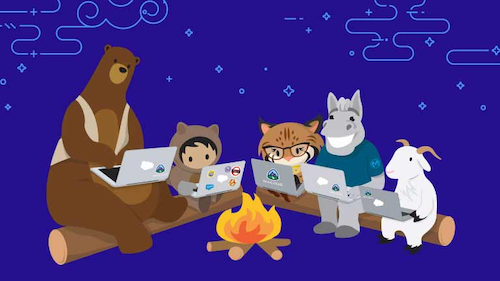 2021年12月11日（土）、12日（日）の2日間で日本初のSalesforceハッカソン2021が開催されました。多種多様な参加者は知識と経験をフル活用してSalesforceアプリケーションを作成し保育園の課題解決に取り組みました。