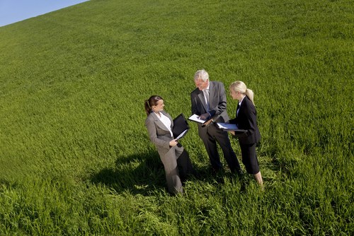 Why You Should Hold Your Next Meeting Outside