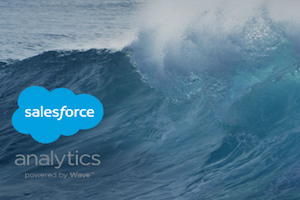 Wave: “Analytics for the Rest of Us”