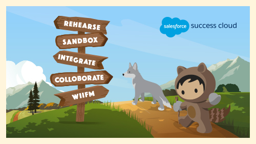 5 Pro Tips for Salesforce Developers