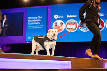 What Service Professionals Learned at Dreamforce