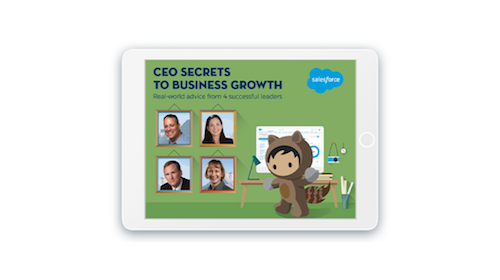 4 Successful CEOs Share Their Secrets to Business Growth: Download Now