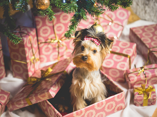 Marketers: Do These 5 Things in September to Prepare for the Holidays