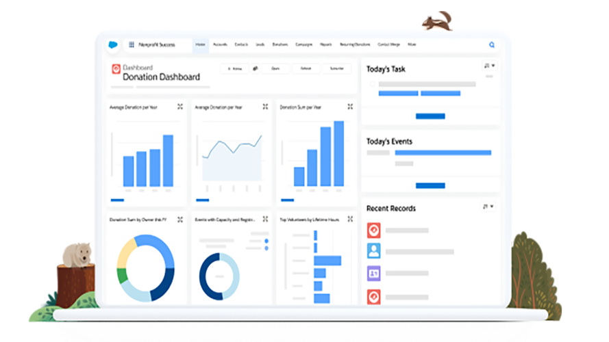 Screenshot of a Nonprofit Success Pack dashboard