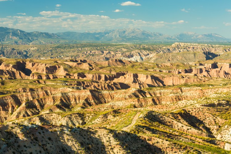 an arid landscape