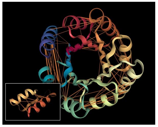 Featured image for (Re)Discovering Protein Structure and Function Through Language Modeling