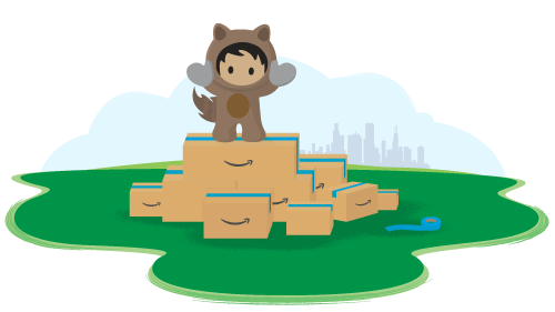 Salesforce Amazon Prime Day Results Salesforce Blog