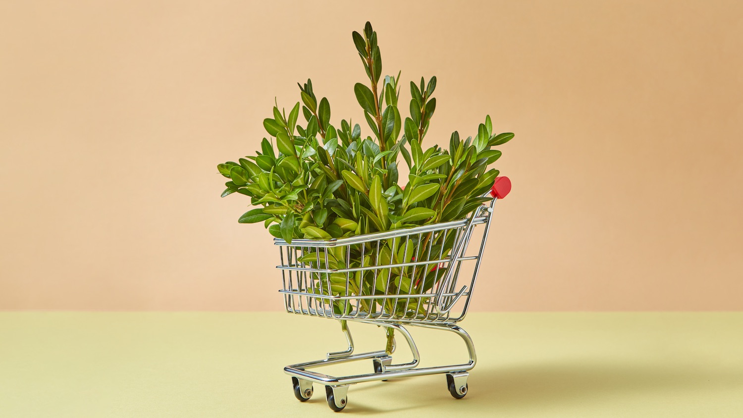 Sustainability in Commerce: Grow While Staying Green | Salesforce
