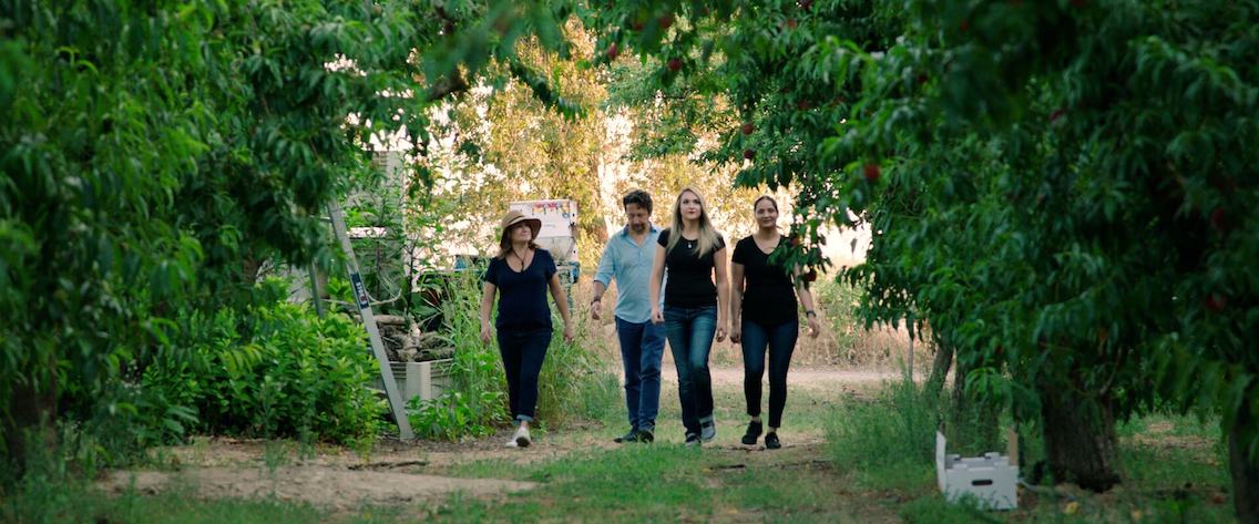 Sutter Buttes team walks in a field