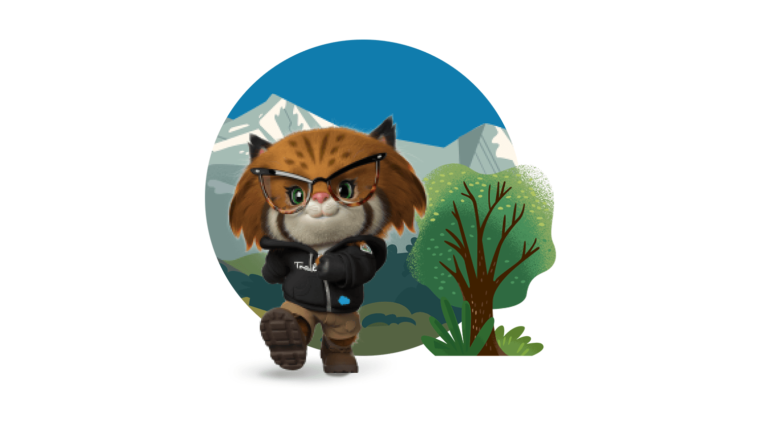 Meet The Salesforce Characters And Mascots Salesforce 9891