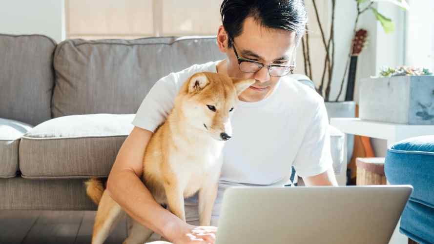 Man works on his laptop with a dog at his side