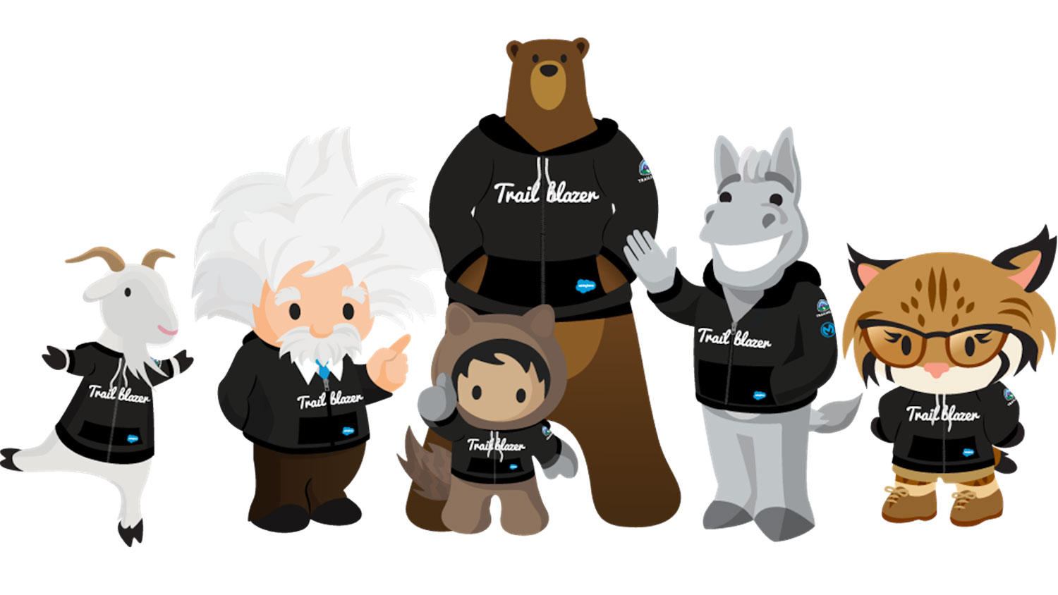 Trailhead And Trailblazer Community – Fidizzi