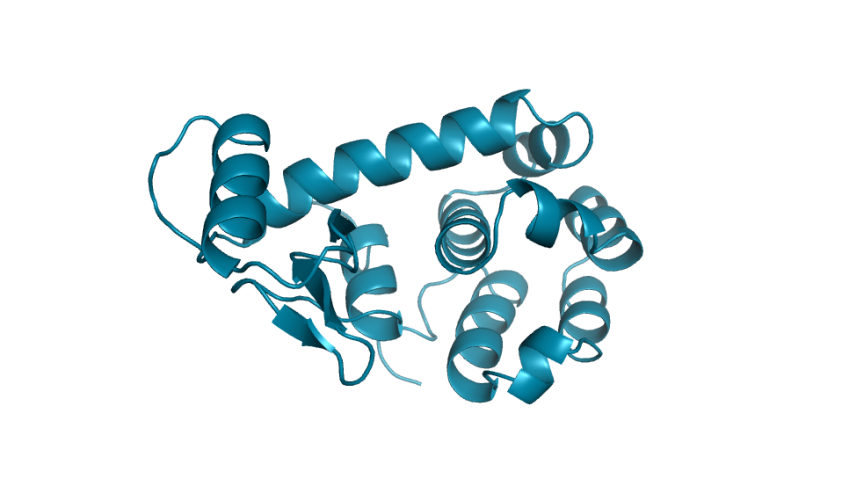 Featured image for Learning from evolution: Using AI language models to design functional artificial proteins