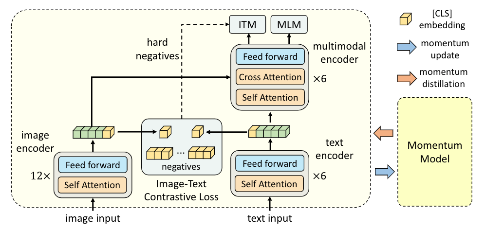 Featured image for Align before Fuse (ALBEF): Advancing Vision-language Understanding with Contrastive Learning