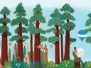 illustration of Salesforce characters in a forest looking at trees