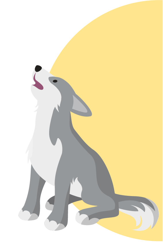 Blaze the wolf illustration