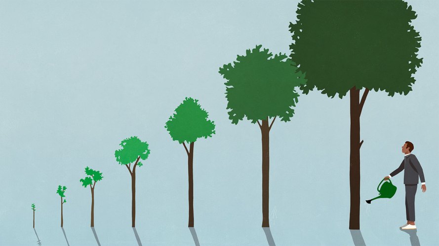 Man watering trees and watching them grow: predictions for growing businesses