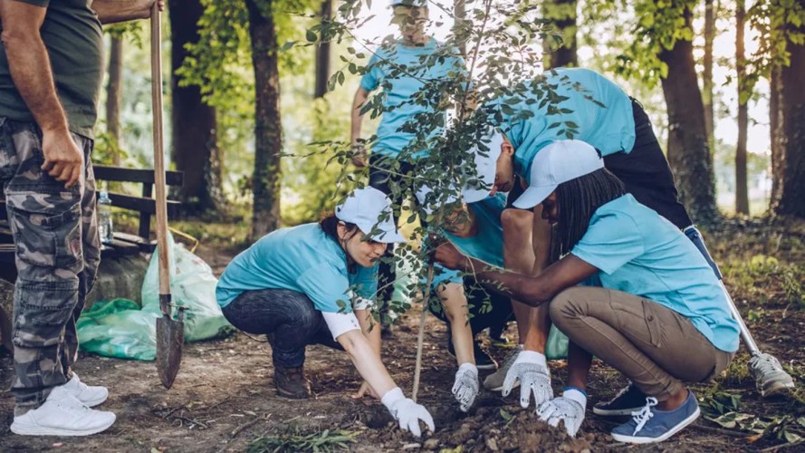 Young volunteers planting trees