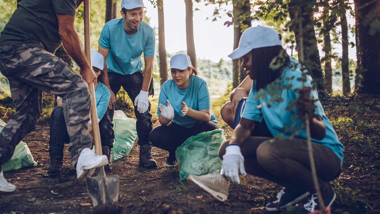 volunteers planting a tree