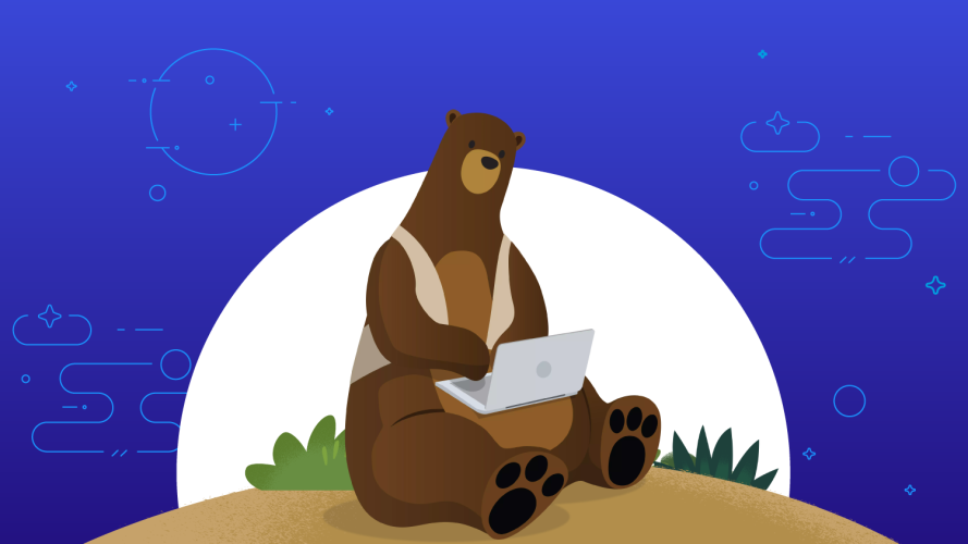 Cody the bear on a laptop.