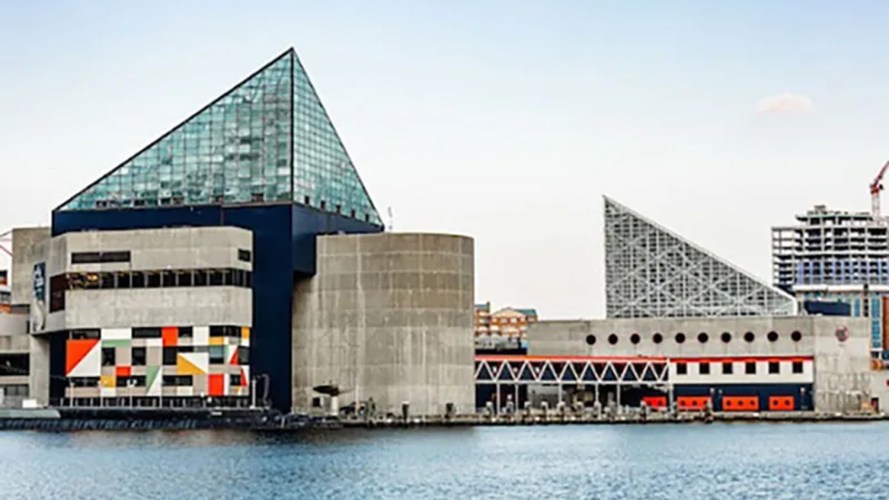 National Aquarium in Baltimore, Maryland