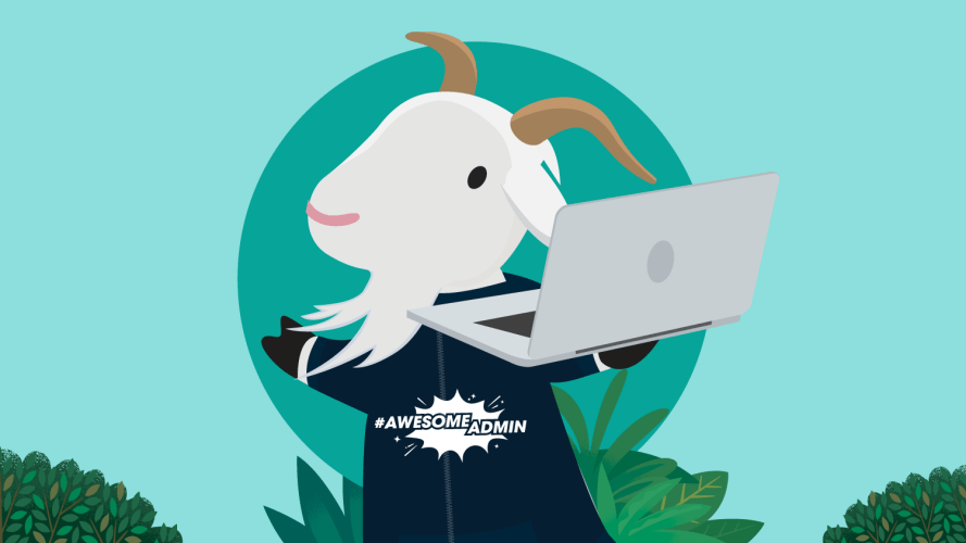 Cloudy the goat, mascot of Salesforce Admins, preparing her Salesforce Admin resume on a laptop.