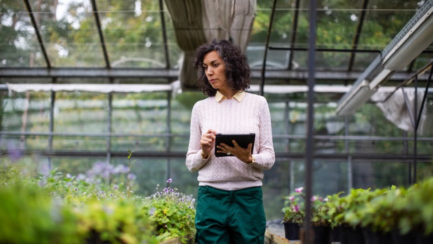 A woman in a greenhouse with a tablet conducting a nature positive policy for her business.