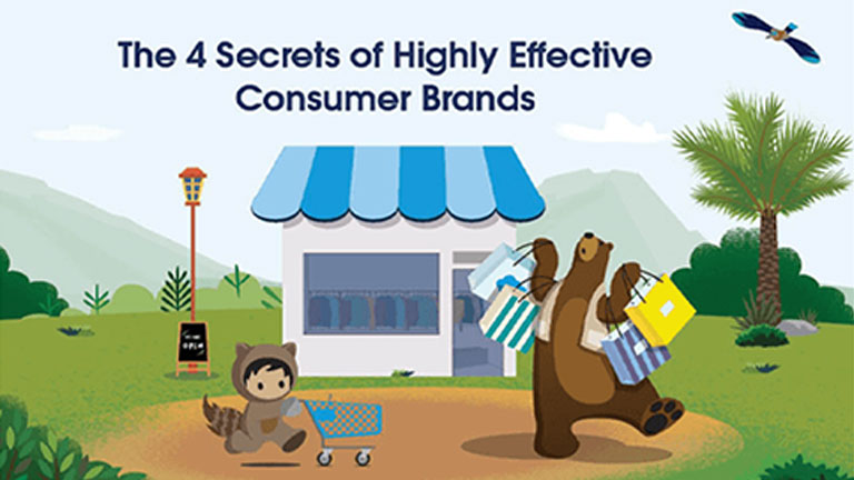 The 4 secrets of highly effective consumer brands: Get this ebook that captures their success formula