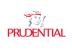 prudential salesforce