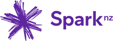 Spark New Zealand gains real time customer insights with customized ...