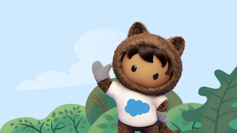 Salesforce Customer Success