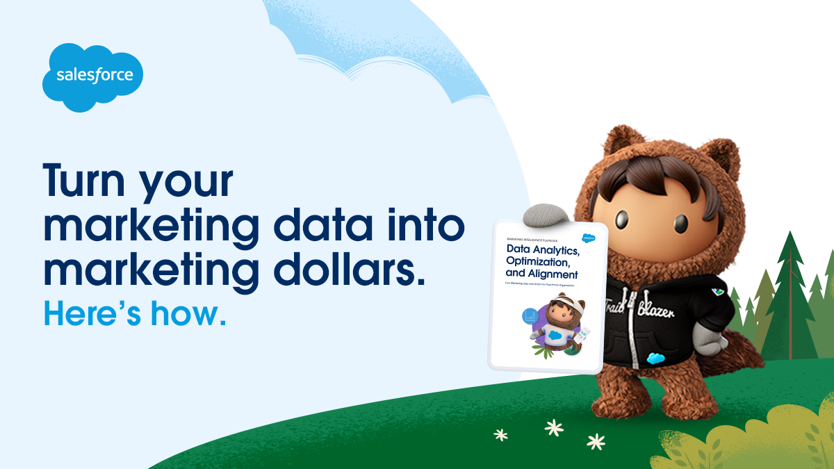 Turn your marketing data into marketing dollars