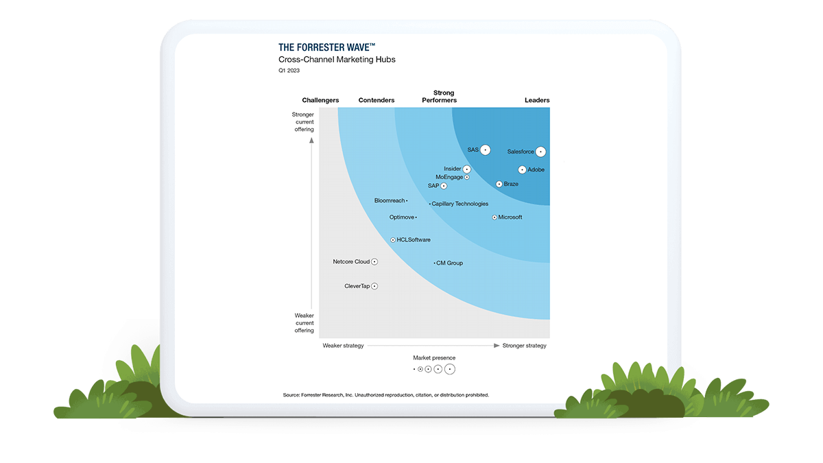 The Forrester Wave™ – Hub del marketing cross-channel, 1° trimestre ...