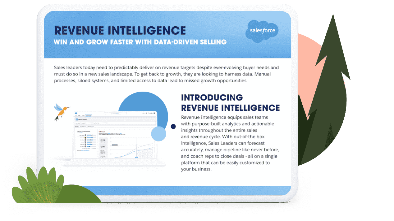 Revenue Intelligence - Salesforce