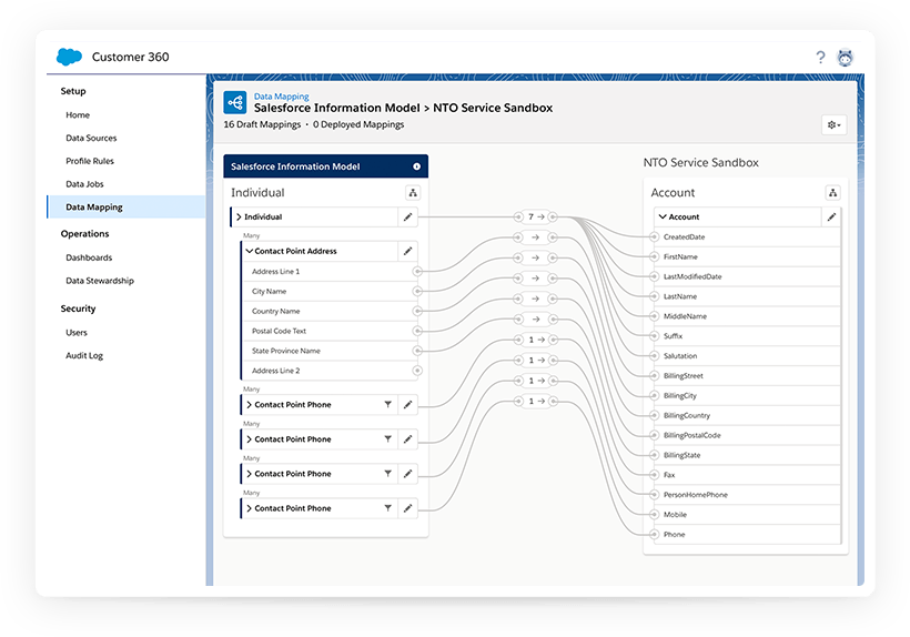 Product screen displaying the Salesforce Information model.