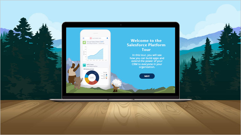 salesforce guided tour