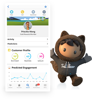 Salesforce-Mobile Detail Explanation