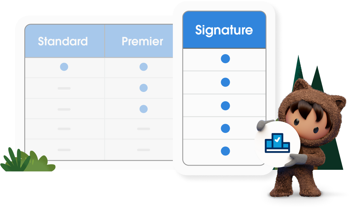 Salesforce Signature Success Plan