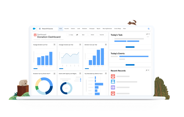 Donation Dashboard, with graphs showing donation status, powered by Nonprofit Success Pack