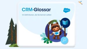 Ein Screenshot vom Salesforce CRM Glossar E-Book auf einem iPad