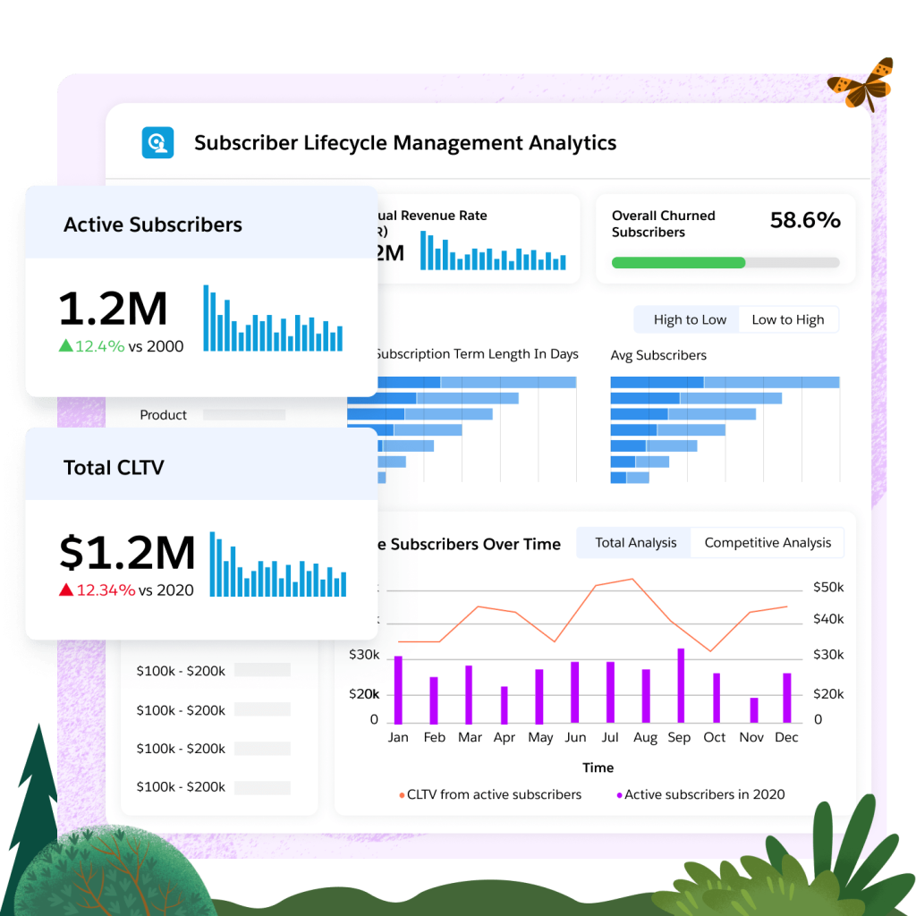 Das Dashboard der Salesforce Abonnentenverwaltungssoftware