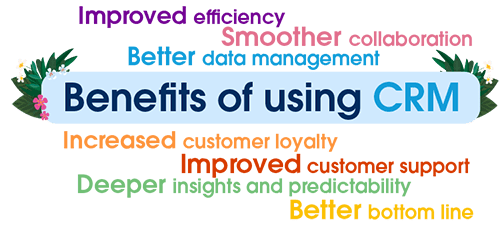 What are the benefits of using CRM software