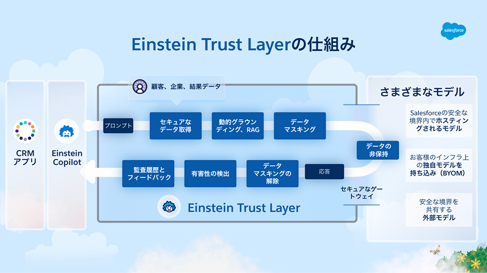 Einstein Trust Layerの仕組み