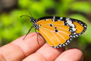 Las empresas y el compromiso con el cuidado del medioambiente