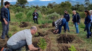 Salesforce y Fundación Natura se unen para la gestión de los bosques de la Amazonía