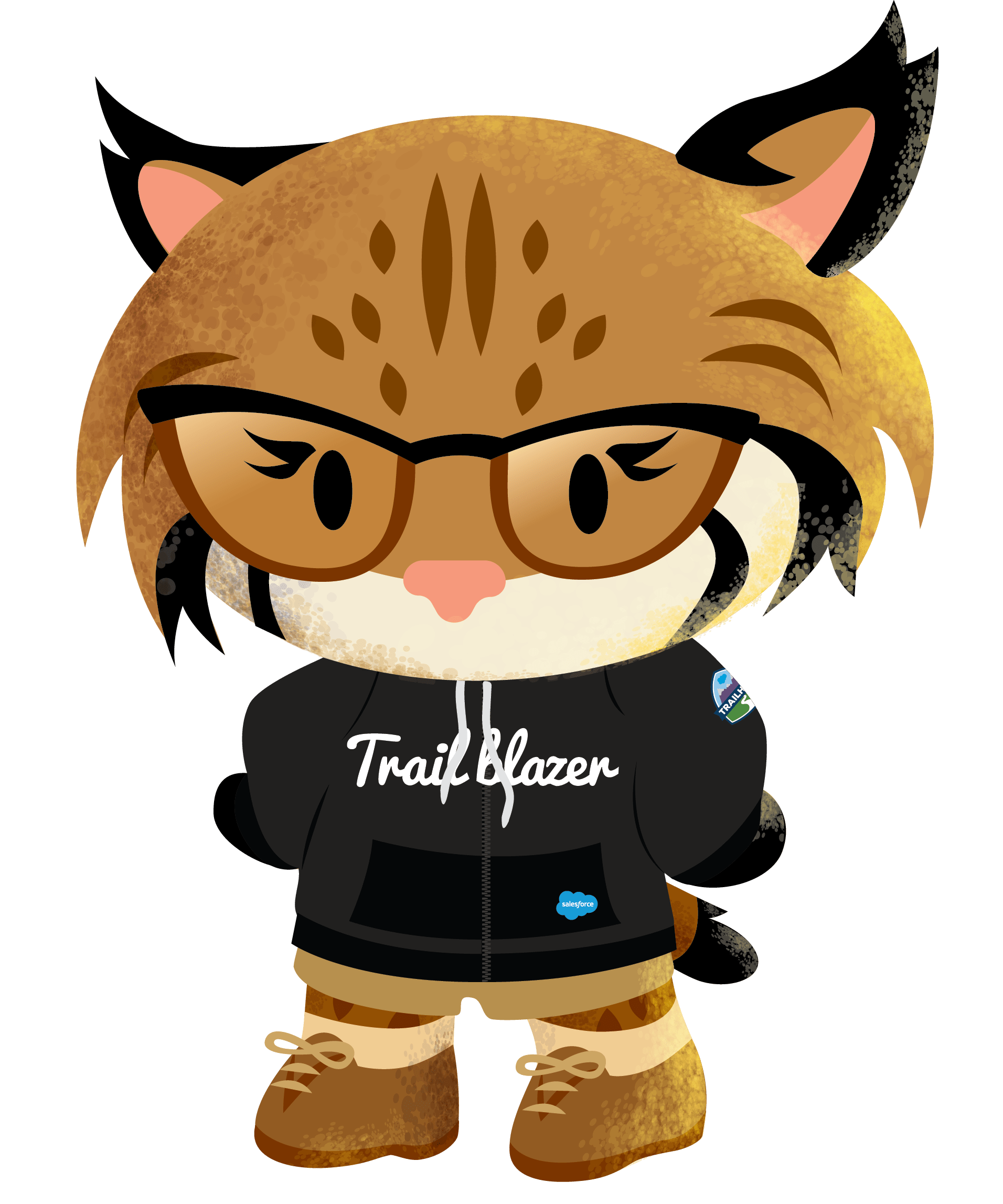 salesforce-characters-salesforce-news