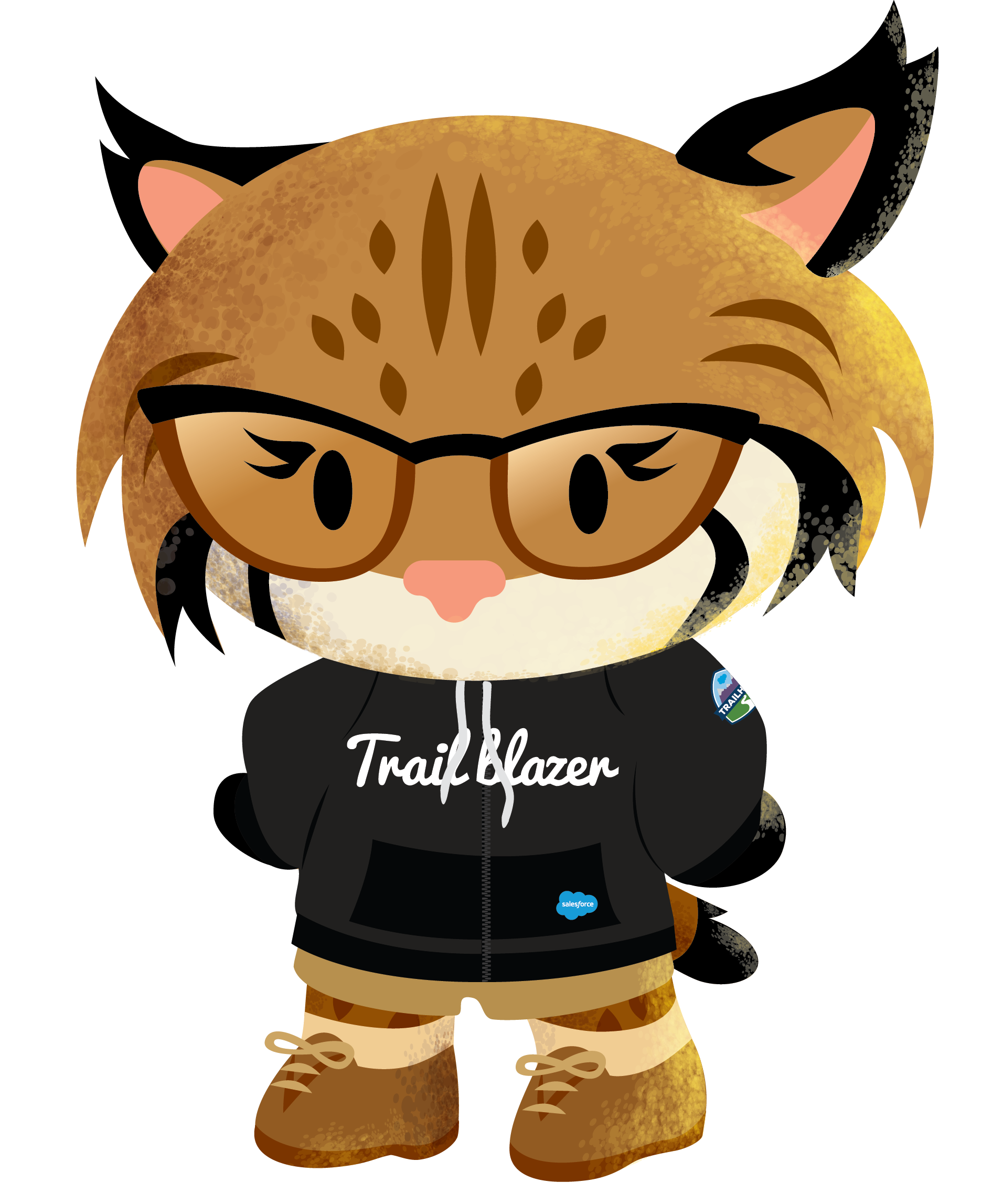 salesforce-characters-salesforce-news